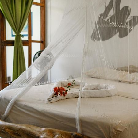 Lobo Hostel - Rurrenabaque (Adults Only) Eksteriør bilde