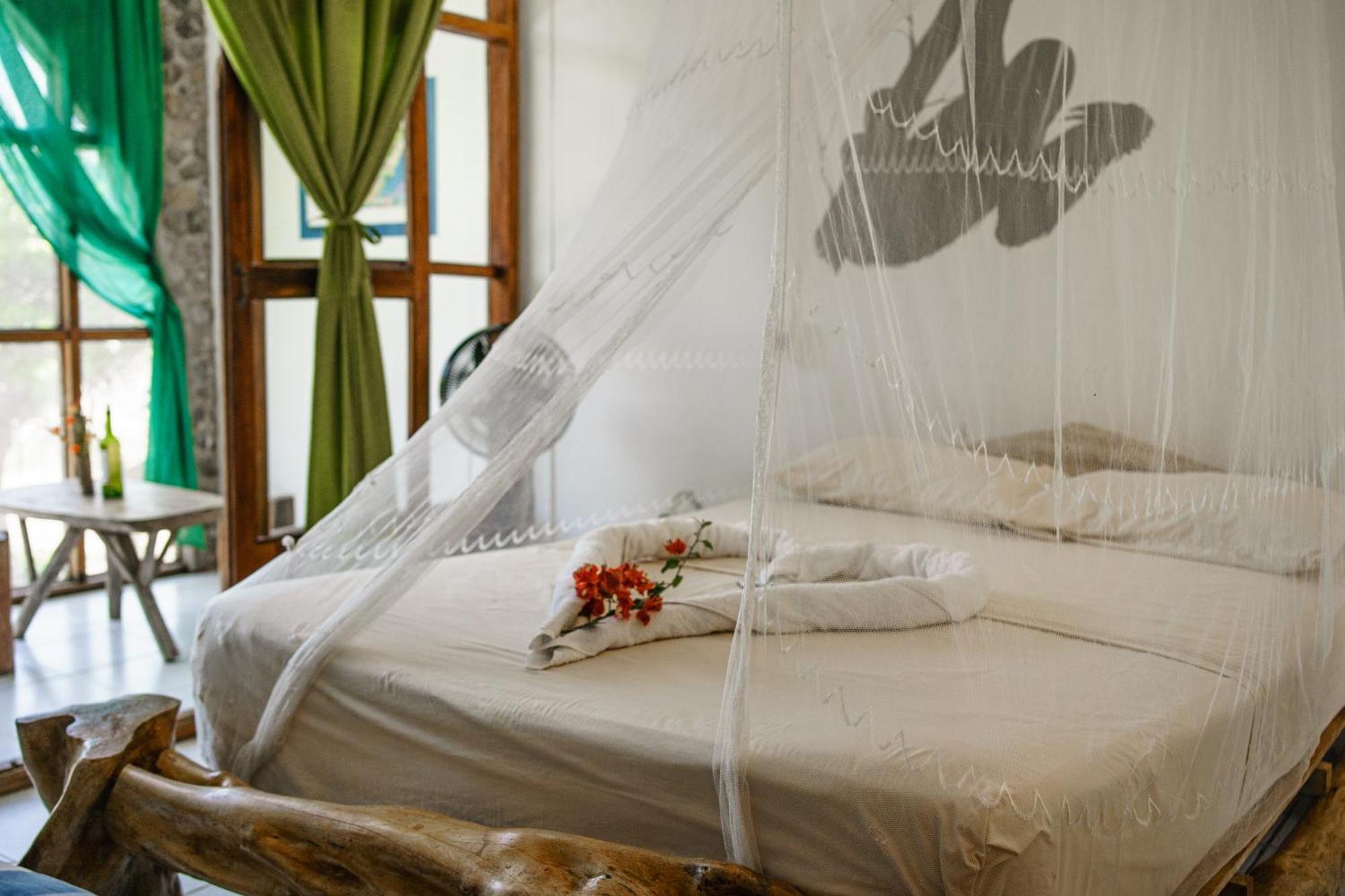 Lobo Hostel - Rurrenabaque (Adults Only) Eksteriør bilde