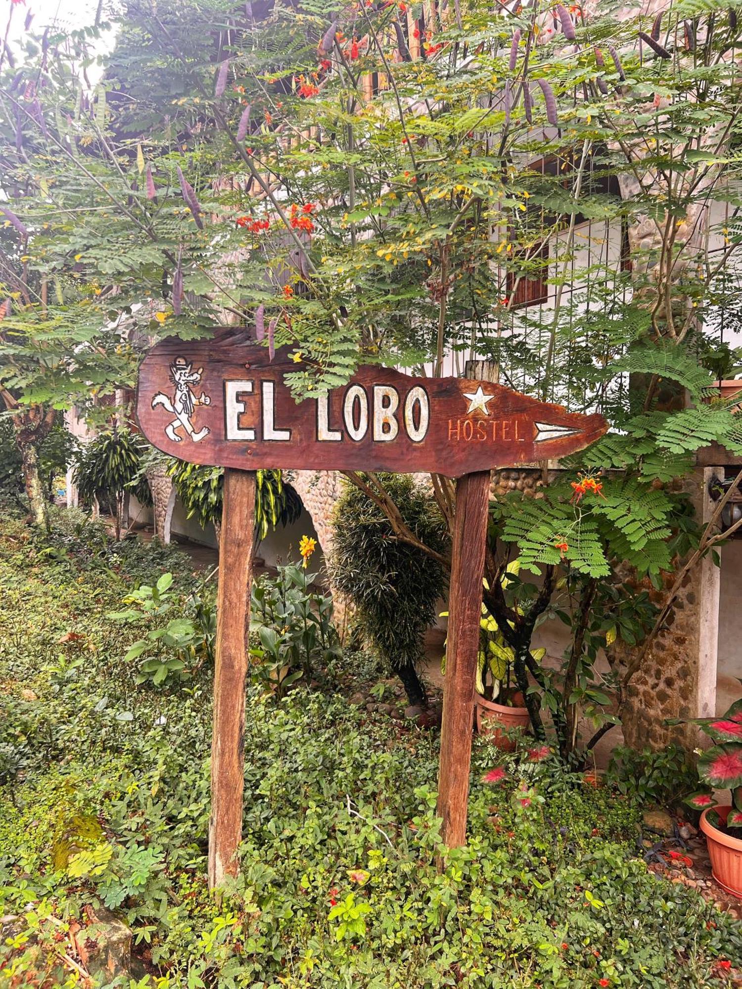 Lobo Hostel - Rurrenabaque (Adults Only) Eksteriør bilde