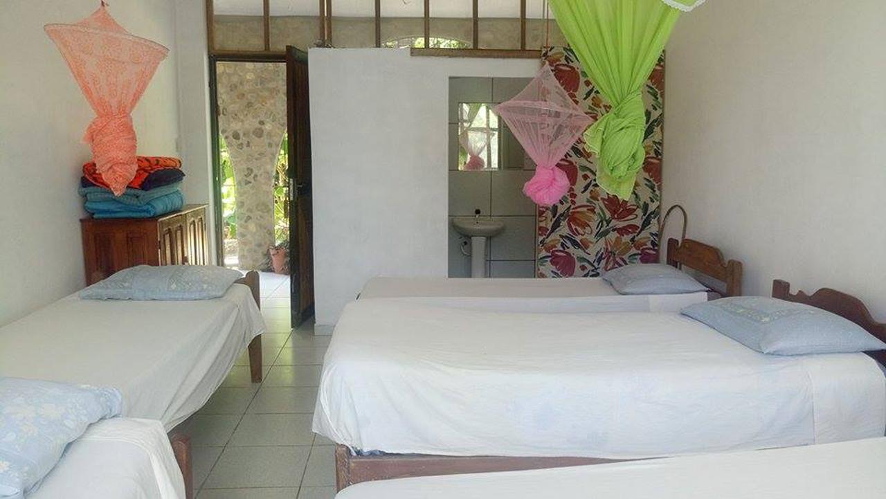 Lobo Hostel - Rurrenabaque (Adults Only) Eksteriør bilde